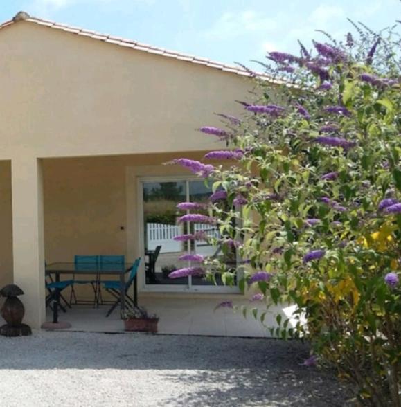 Maison 3 Etoiles Avec Piscine Et Jacuzzi Exterieur Pres De Sarlat Saint-Vincent-le-Paluel Exterior photo